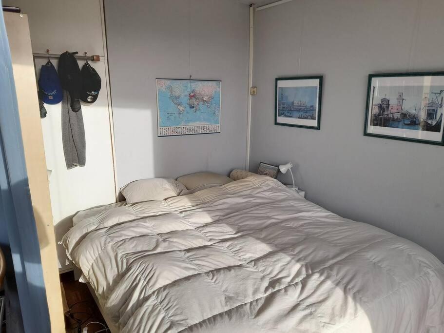 Sunny Appartement